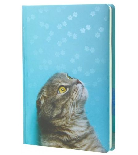 Ежедневник А5 недатированный Cat Economix E22015