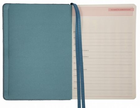 Ежедневник А5 недатированный твердая обложка Leo Planner Vibe дымчато-голубой 252697