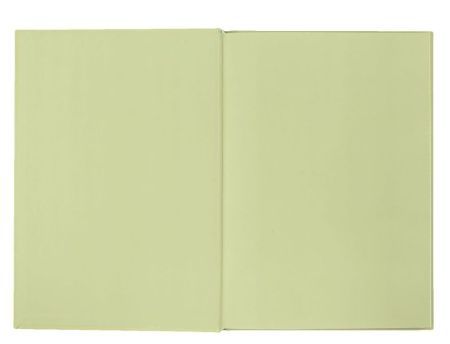 Книга А4 офсетна 96 арк. клітинка тверда обкладинка MORANDI STYLE BM.2400-436i оливкова 8шт/уп